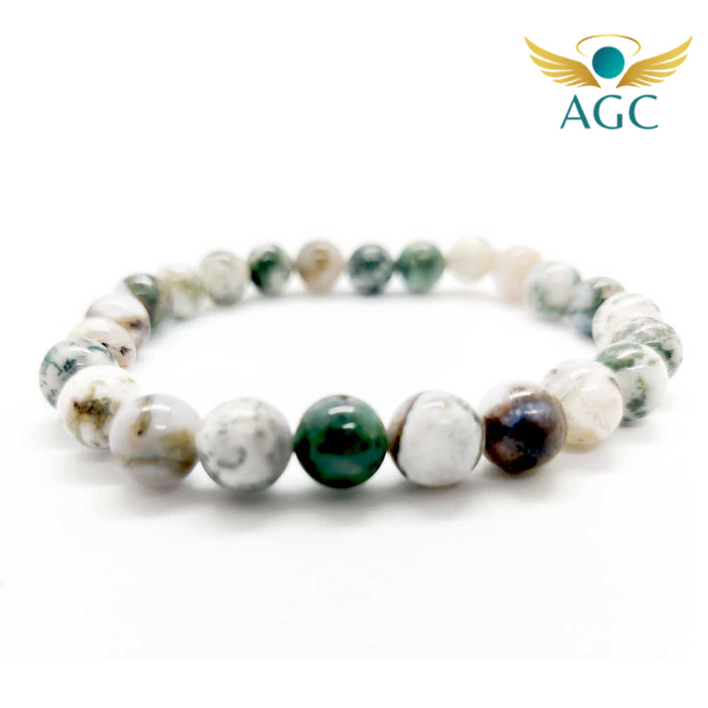 Tree Agate Bracelet for Growth, Peace & Grounding | AGC