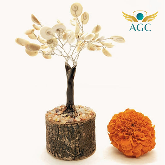 Gomti Chakra Tree of Life | Sacred Tree for Prosperity & Protection | Buy Online | AGC