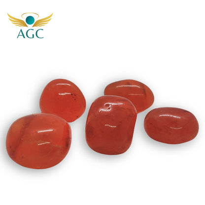 Red Carnelian Tumble Stone for Energy & Motivation |AGC