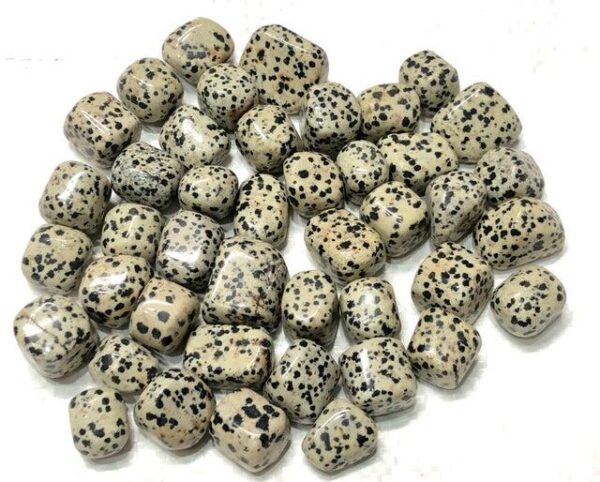 Dalmation Tumbled Stones