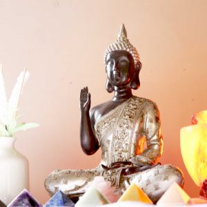 Puja and meditation