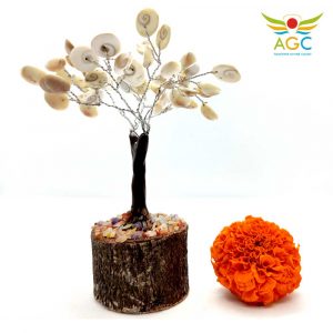 gomti-chakra-tree-angel_global_consultancy