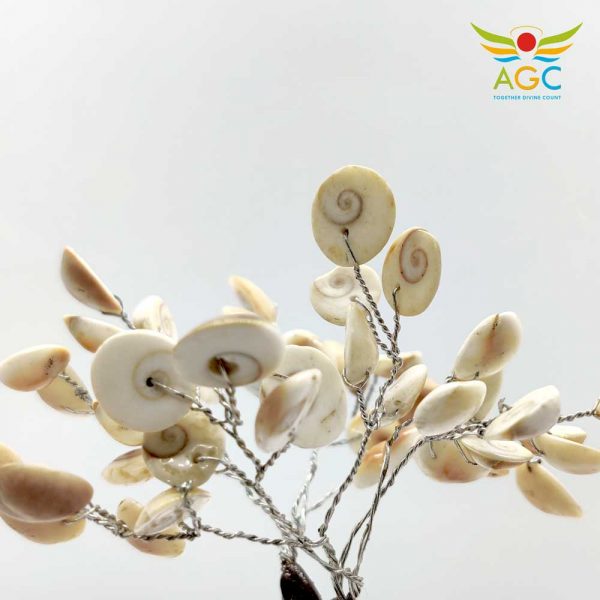 gomti-chakra-tree-angel_global_consultancy