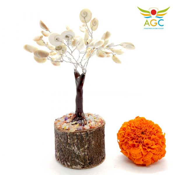 gomti-chakra-tree-angel_global_consultancy