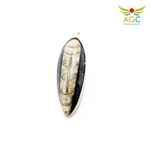 orthoceras-pendant-angel-global-consultancy