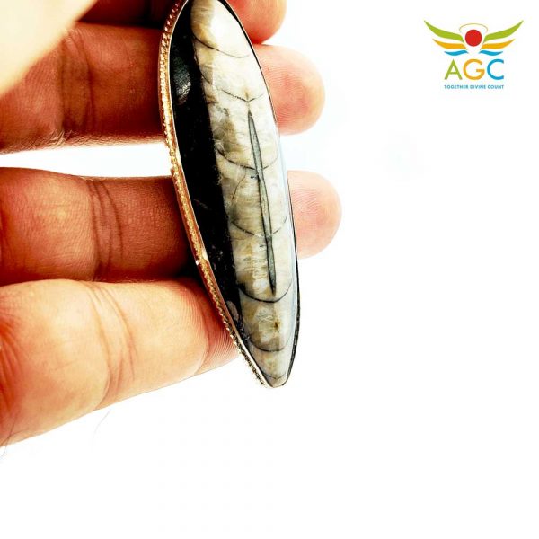 orthoceras-pendant-angel-global-consultancy