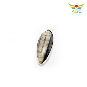 orthoceras-pendant-angel-global-consultancy